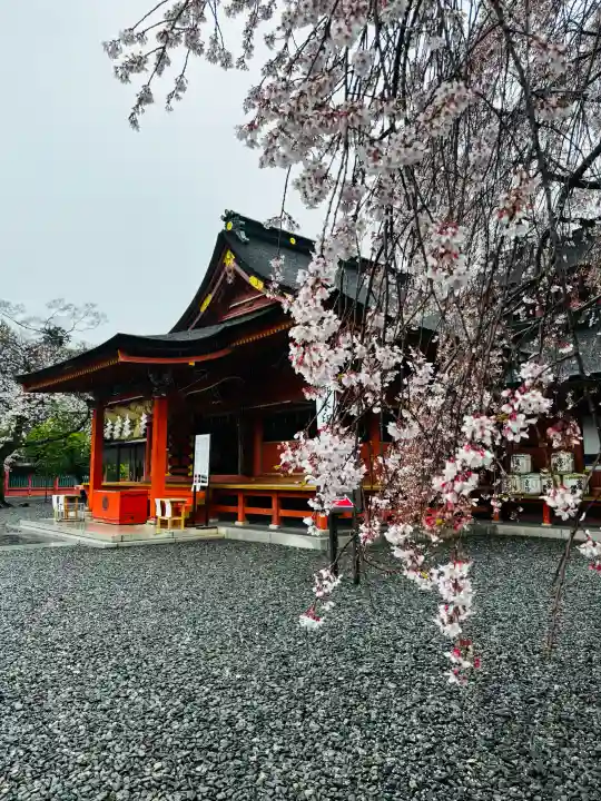 富士山本宮浅間大社の{uncategorized: "未分類", other: "その他", undefined: "問題あり", building: "その他建物", grave: "お墓", sacred_gate: "鳥居", guardian: "狛犬", statue: "像", buddha: "仏像", history: "歴史", nature: "自然", garden: "庭園", animal: "動物", pagoda: "塔", temizu: "手水舎", mountain_gate: "山門・神門", sanctuary: "本殿・本堂", subordinate: "末社・摂社", art: "芸術", scenery: "景色", jizo: "地蔵", ema: "絵馬", goshuin: "御朱印", omikuji: "おみくじ", items: "授与品その他", amulet: "お守り", goshuincho: "御朱印帳", eats: "食事", festival: "お祭り", votive_dance: "神楽", shichigosan: "七五三参", wedding: "結婚式", experience: "体験その他", initially: "初詣", around: "周辺", anti_infection: "感染症対策"}