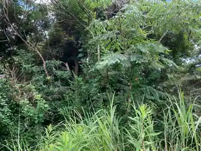 大山祇神社の自然