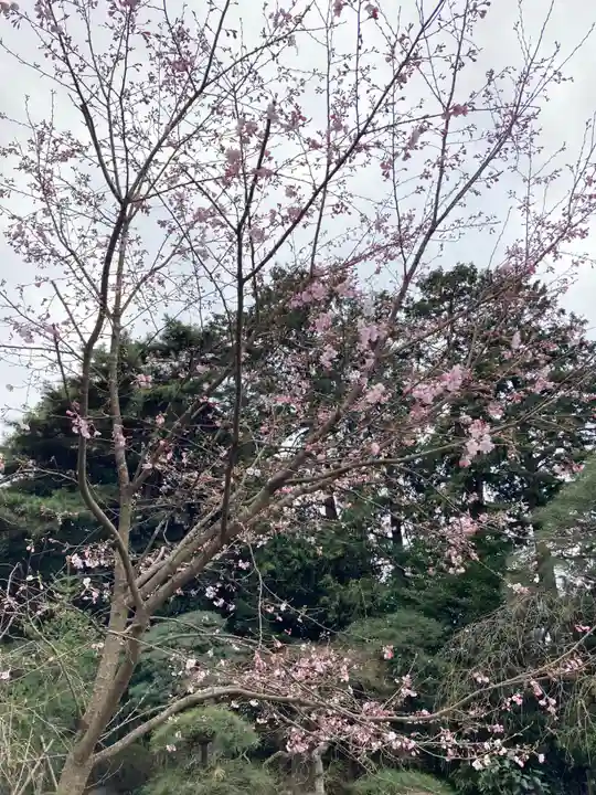 岩槻久伊豆神社(埼玉県)