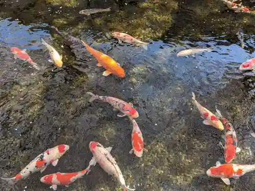 鹿の井出水 水神様(香川県)