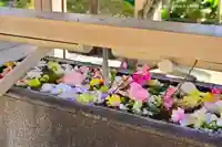 鳩森八幡神社の手水舎