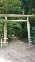 縣神社の鳥居