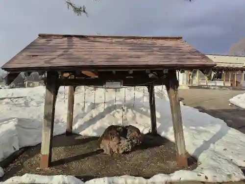 奈井江神社(北海道)