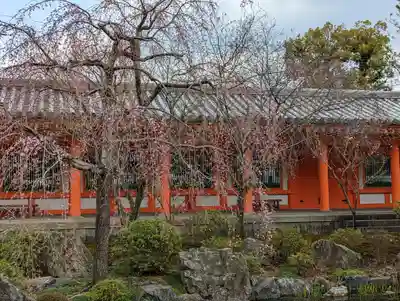 蓮華王院（三十三間堂）(京都府)