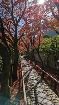 光悦寺(京都府)