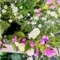 彌彦神社 (伊夜日子神社)(北海道)