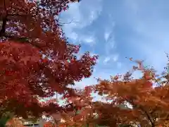 福井神社(福井県)