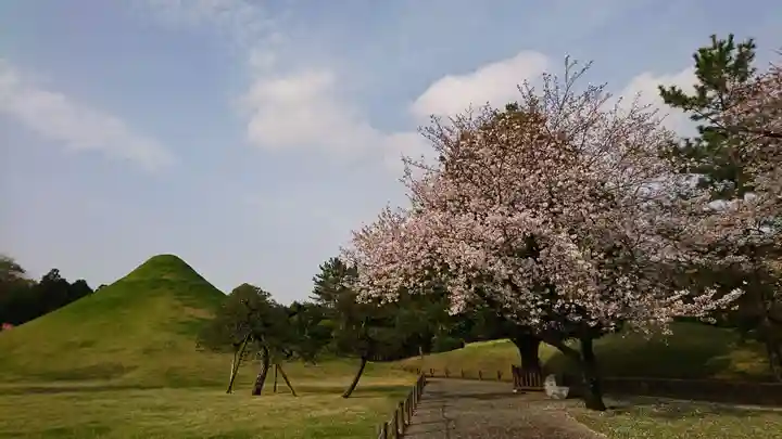 出水神社の自然