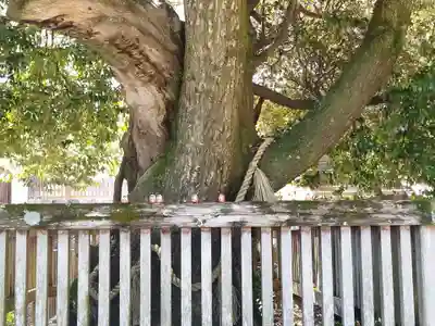 勝尾寺(大阪府)