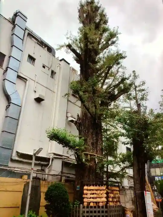 天祖神社(東京都)