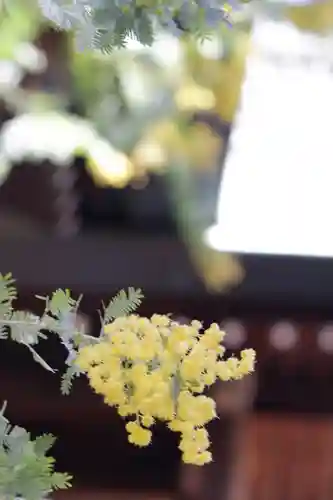 蔵前神社(東京都)