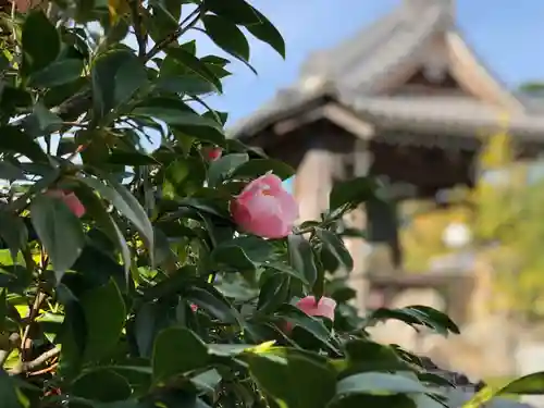 瑞雲寺のその他建物