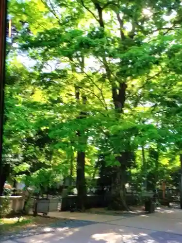 布多天神社(東京都)