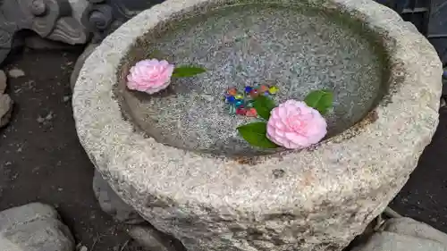 戸越八幡神社の手水舎