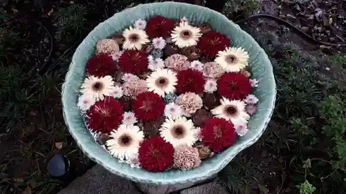 行田八幡神社の手水舎