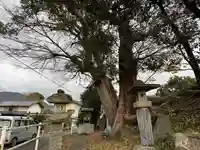松尾神社(徳島県)