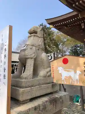 赤穂大石神社の狛犬