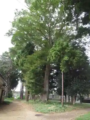 酒門神社(茨城県)