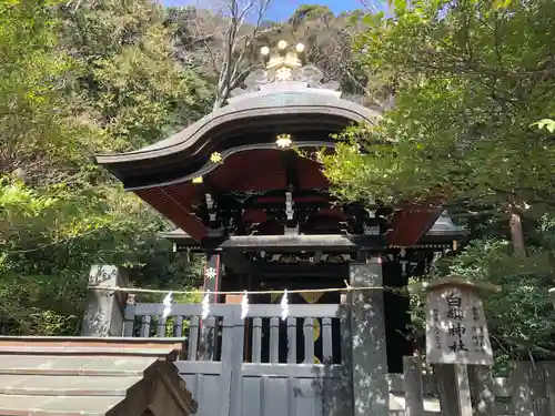 鶴岡八幡宮(神奈川県)