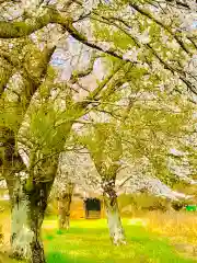 鹿嶋神社の自然