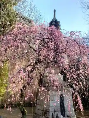 新井薬師（梅照院）(東京都)
