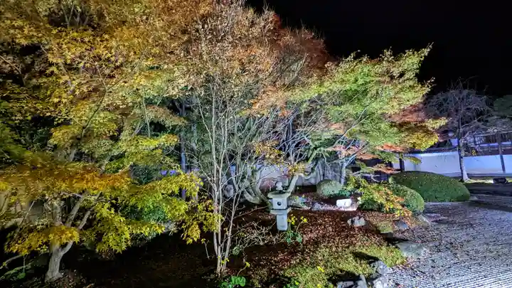 妙顯寺(妙顕寺)(京都府)