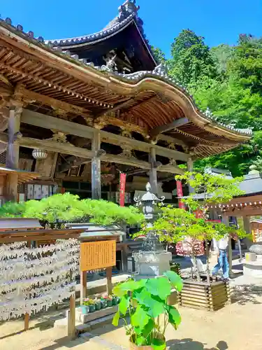 岡寺（龍蓋寺）の本殿・本堂