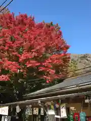 大山阿夫利神社の建物その他