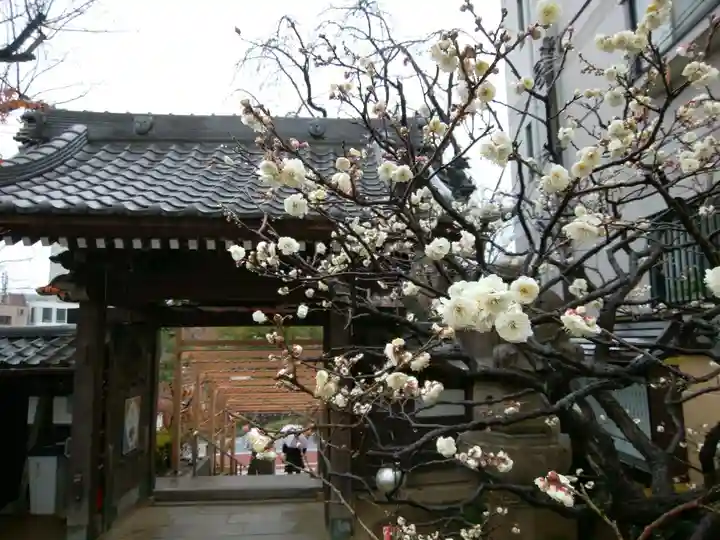 法輪寺(東京都)