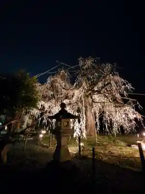 八幡社(愛知県)