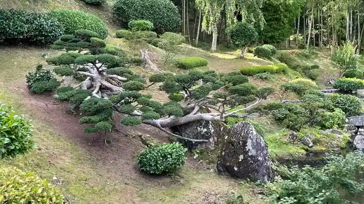 羽黒山 金剛樹院(山形県)