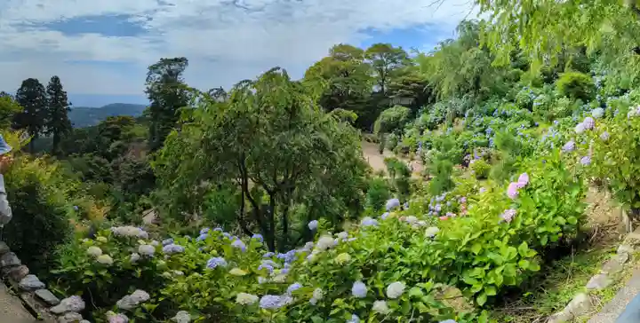善峯寺(京都府)