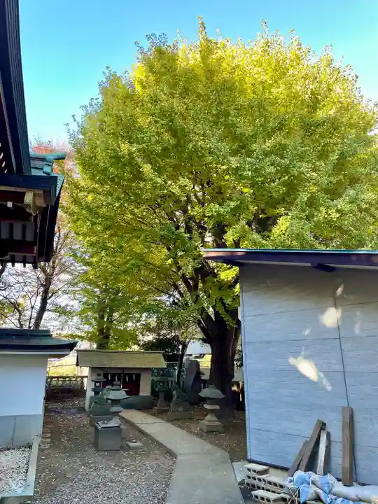 小金八坂神社(千葉県)