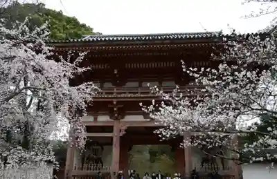 醍醐寺(京都府)