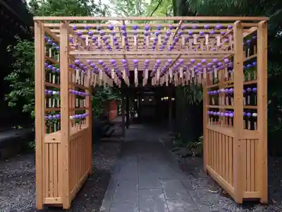 川越氷川神社(埼玉県)