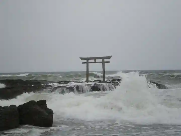 大洗磯前神社の自然
