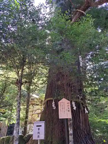 丹生川上神社（中社）の御朱印