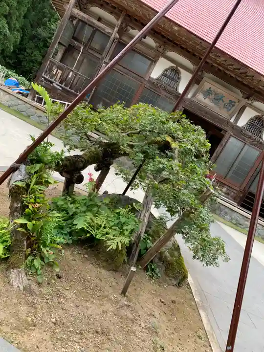 西隆寺(乙女三十三観音)の自然