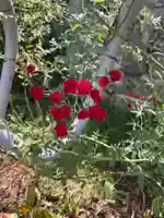 霊山寺(奈良県)