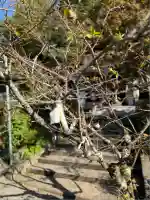金毘羅神社(山梨県)
