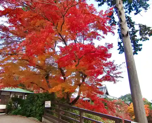善峯寺(京都府)
