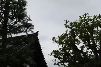  智積院(京都府)