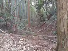 松尾神社の周辺