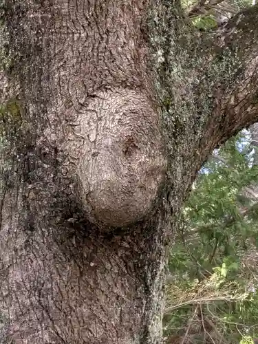 事任八幡宮(静岡県)