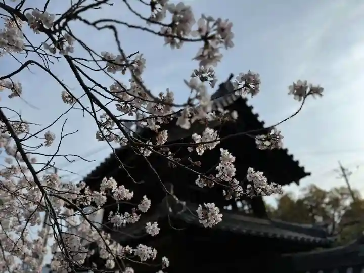 伊勢の国 四天王寺(三重県)