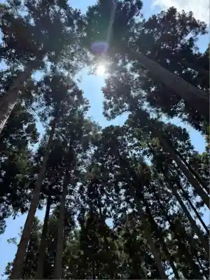 市杵島神社（高萩八幡宮境内社）(茨城県)