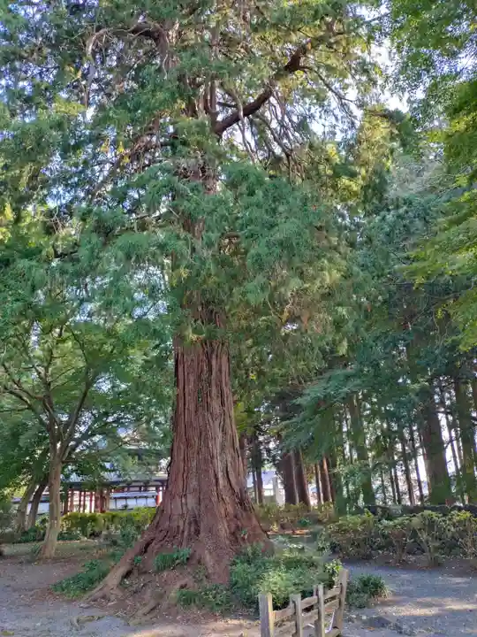 富士山法華本門寺根源(静岡県)