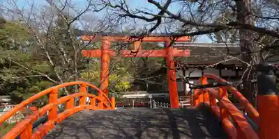 賀茂御祖神社(下鴨神社)の鳥居