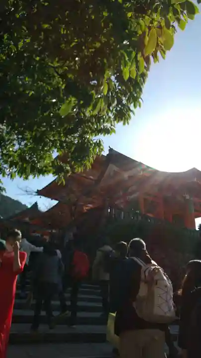 清水寺(京都府)