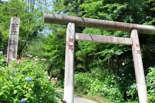 太平山神社(栃木県)